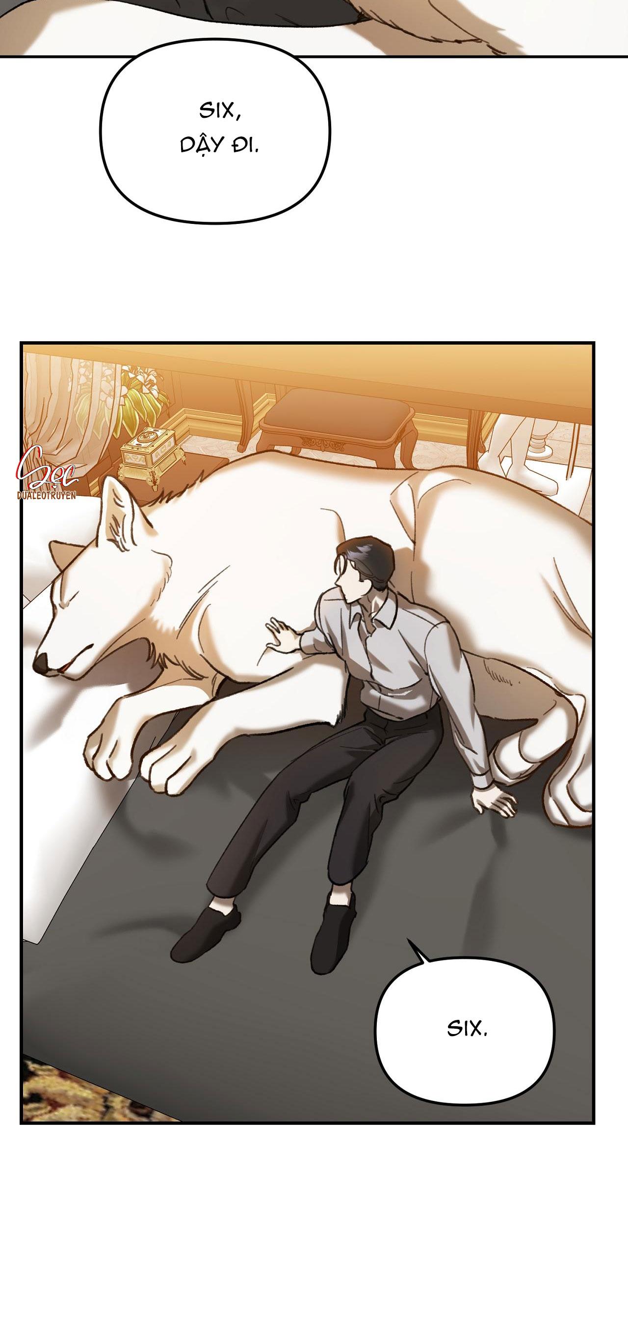 Đọc truyện SÓI TRONG LỒNG - Chapter 15