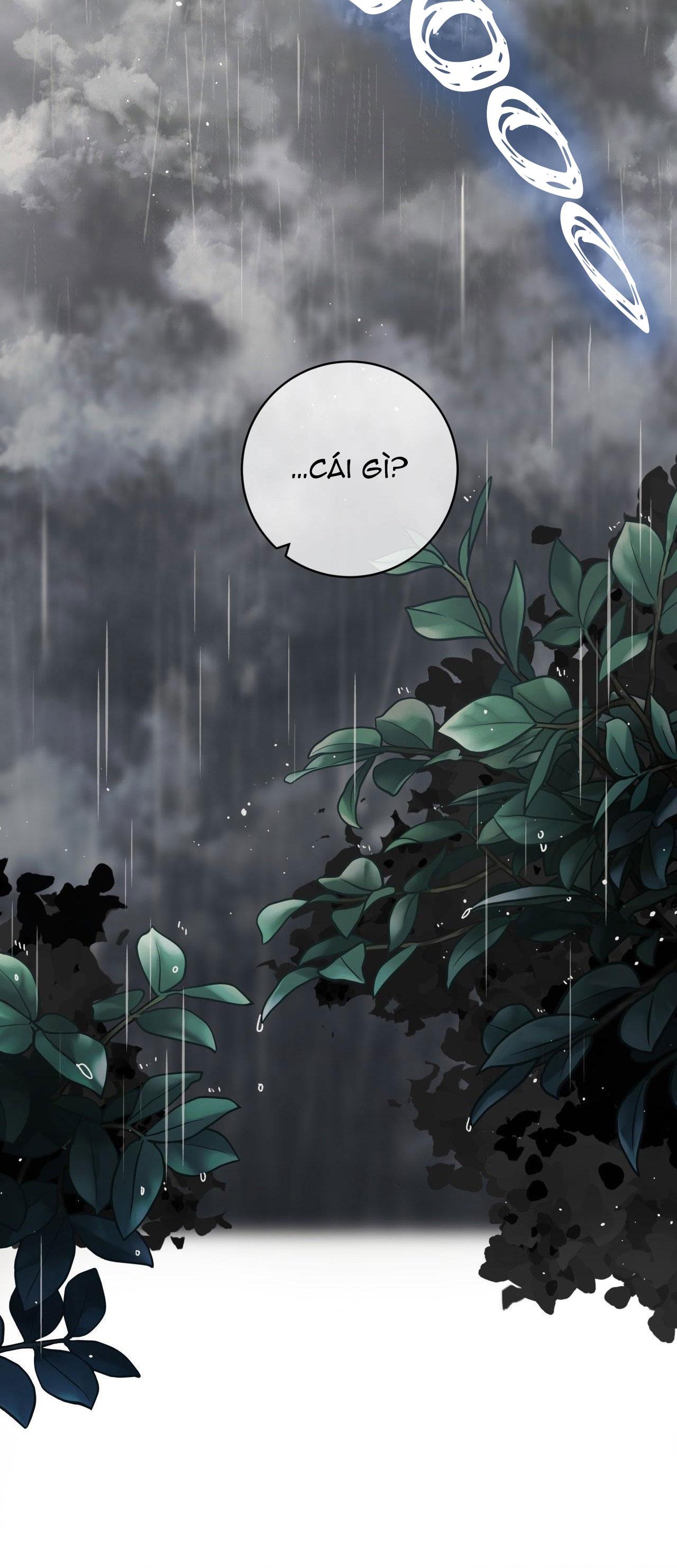 Đọc truyện CƠN MƯA RÀO MÙA HẠ - Chapter 42