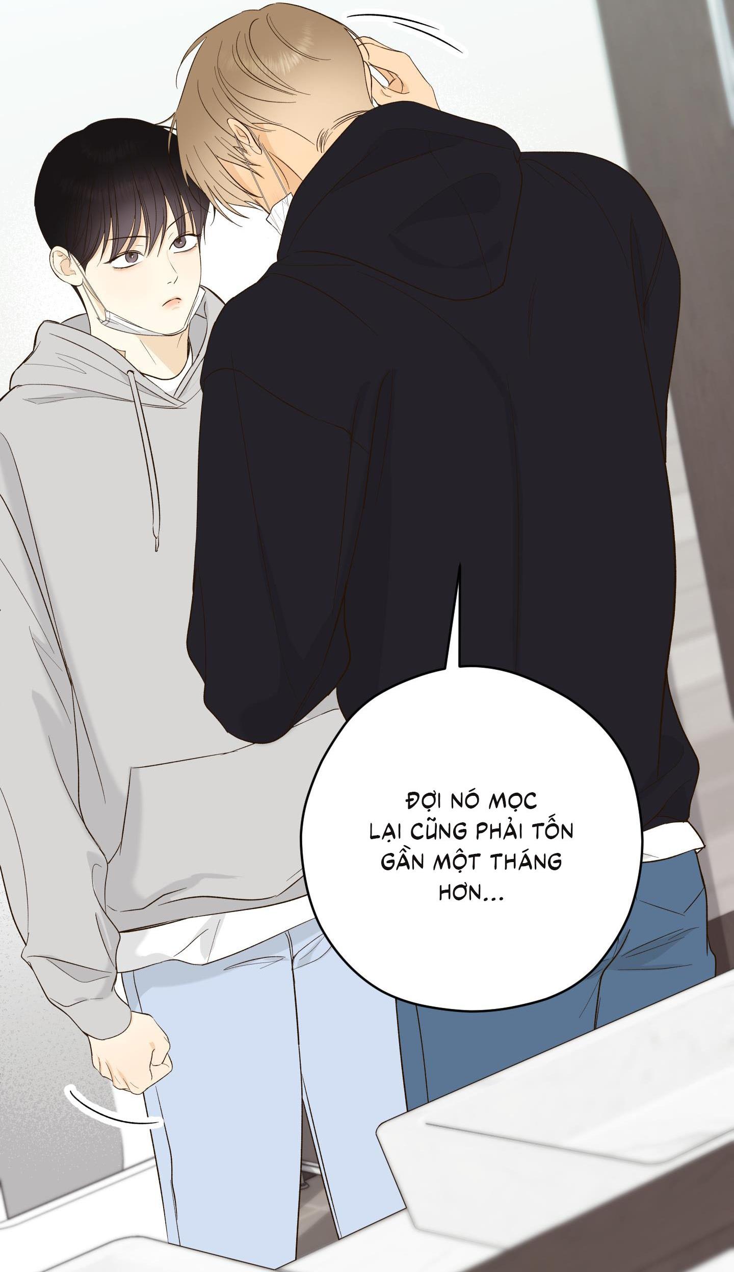 Đọc truyện  Ngọn Gió Dịu Dàng - Chapter 11