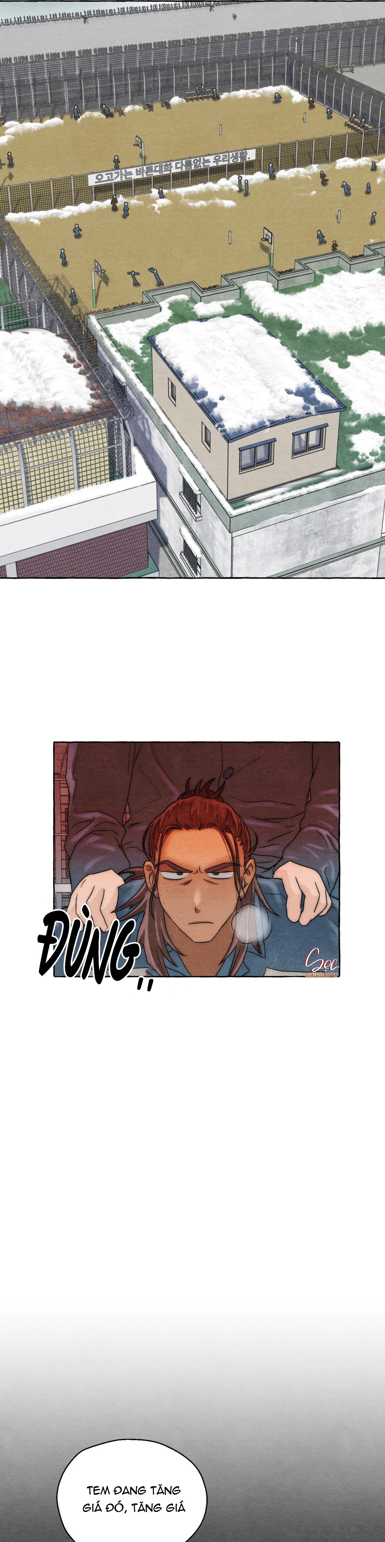 Đọc truyện NHỮNG CON CHÓ TRONG TÙ - Chapter 4