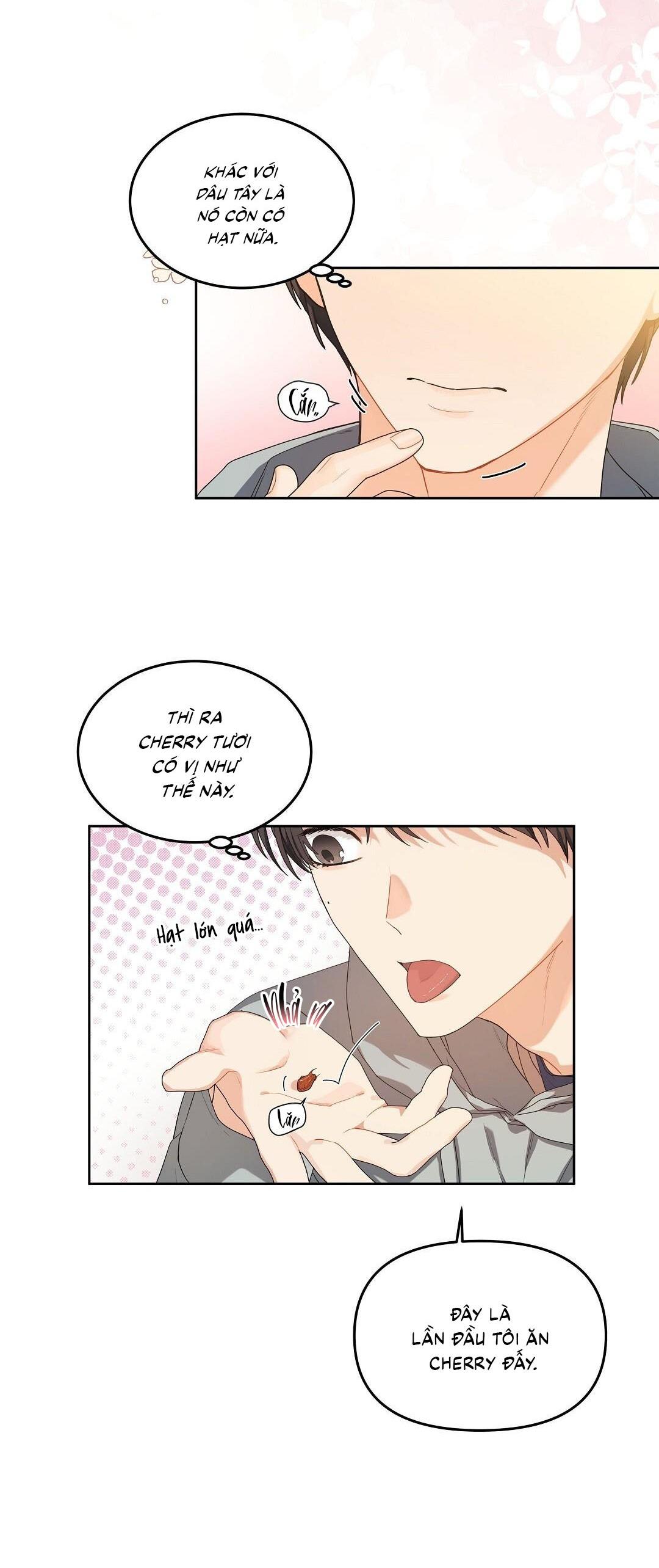 Đọc truyện Cherry Cake - Chapter 5