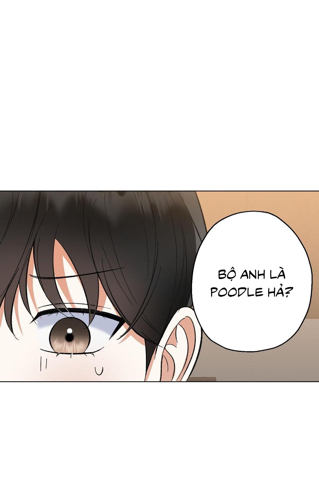Đọc truyện Yêu fan đừng yêu tôi - Chapter 26