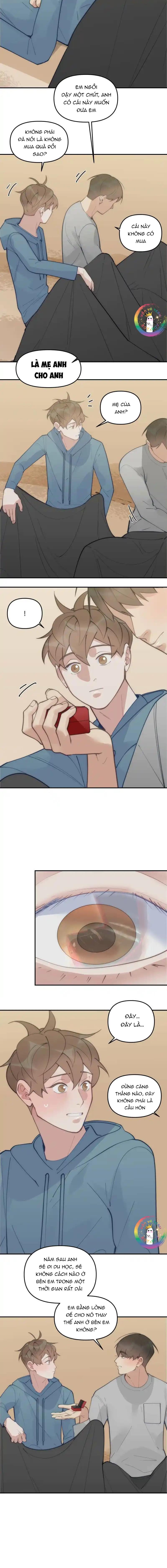 Đọc truyện (END) Đàn Anh Sói Ca Cùng Phòng Của Tôi - Chapter 81