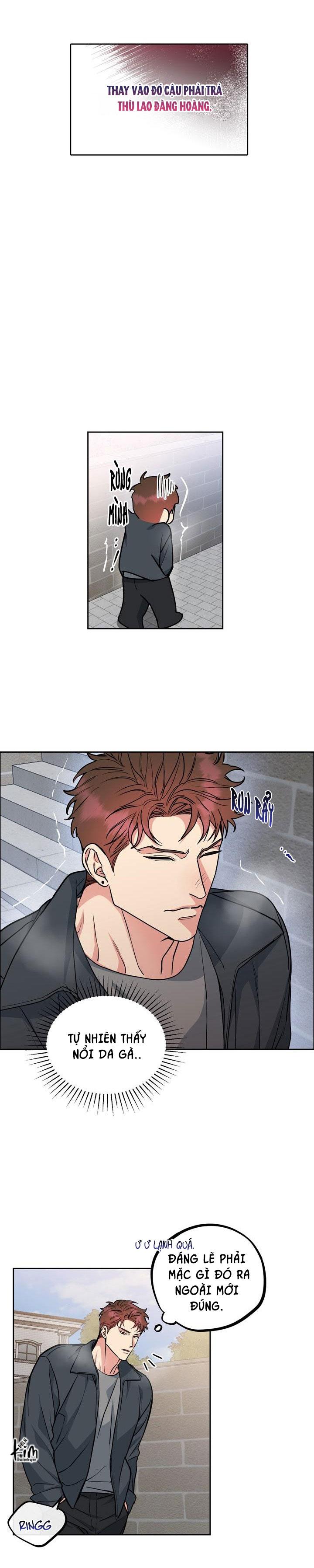 Đọc truyện CHÓ VÀ CHIM - Chapter 31