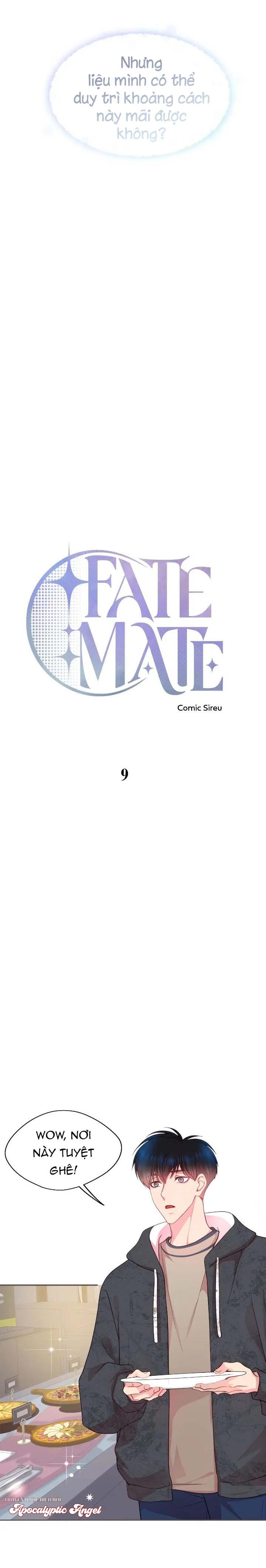 Đọc truyện Bạn Đời Định Mệnh - Chapter 9