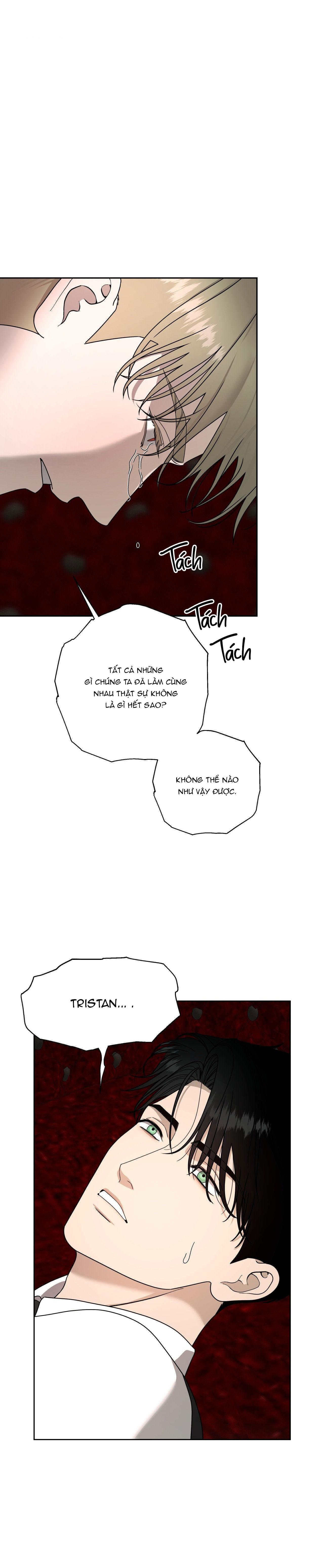 Đọc truyện AGATHOS REPORT - Chapter 15