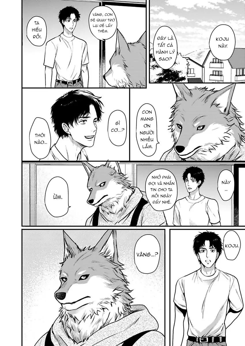 Đọc truyện Con trai nuôi của tôi đang phát tình - Chapter 5