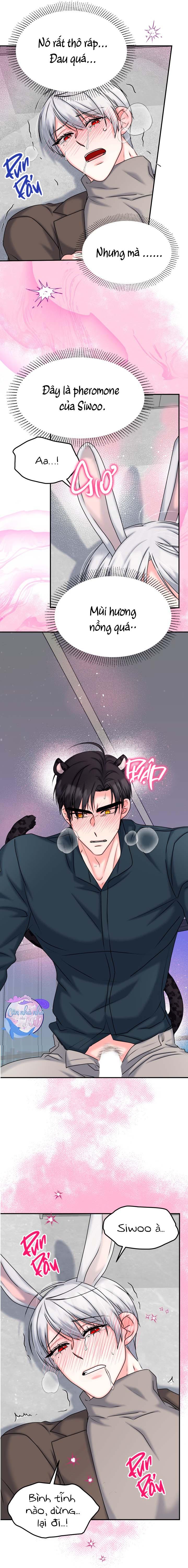 Đọc truyện ĐÂY LÀ CHÚ THỎ MÀ BẠN (KHÔNG) ĐÃ ĐẶT HÀNG - Chapter 20