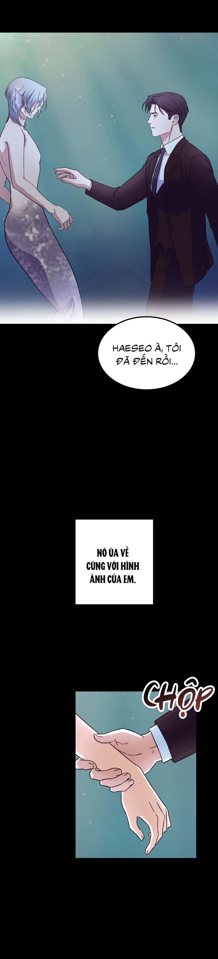 Đọc truyện Người Cá Biến Mất - Chapter 7
