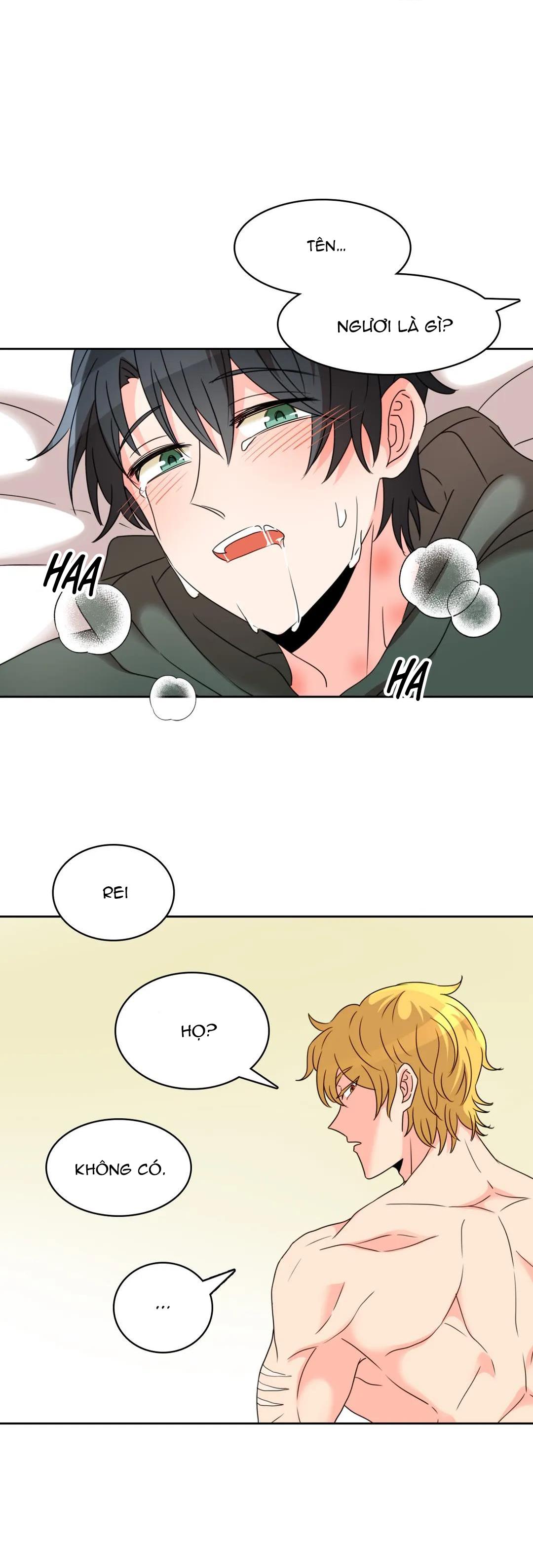 Đọc truyện Ngọt Ngào Nhưng Nguy Hiểm - Chapter 4