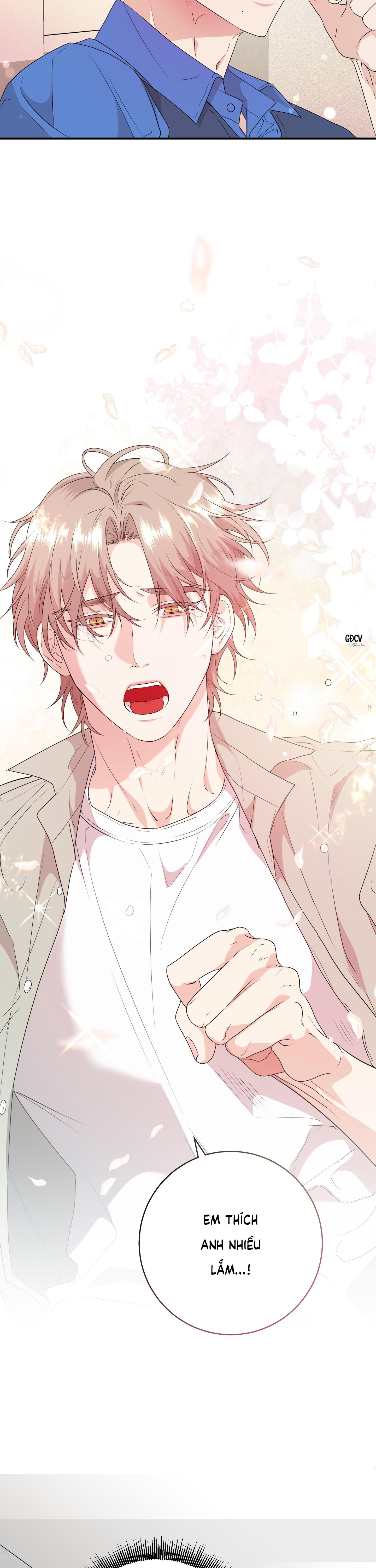 Đọc truyện SÁT THỦ TRINH TIẾT - Chapter 5