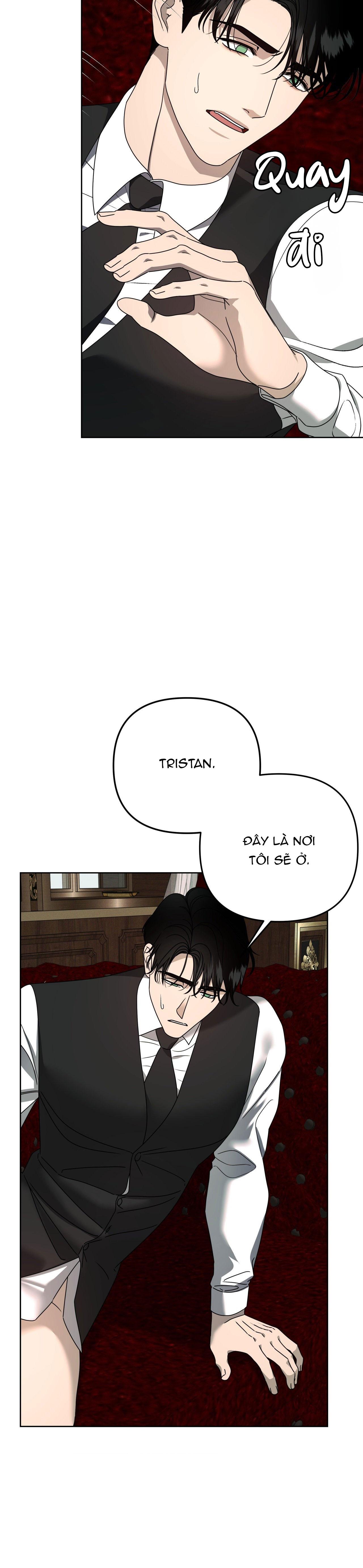 Đọc truyện AGATHOS REPORT - Chapter 15