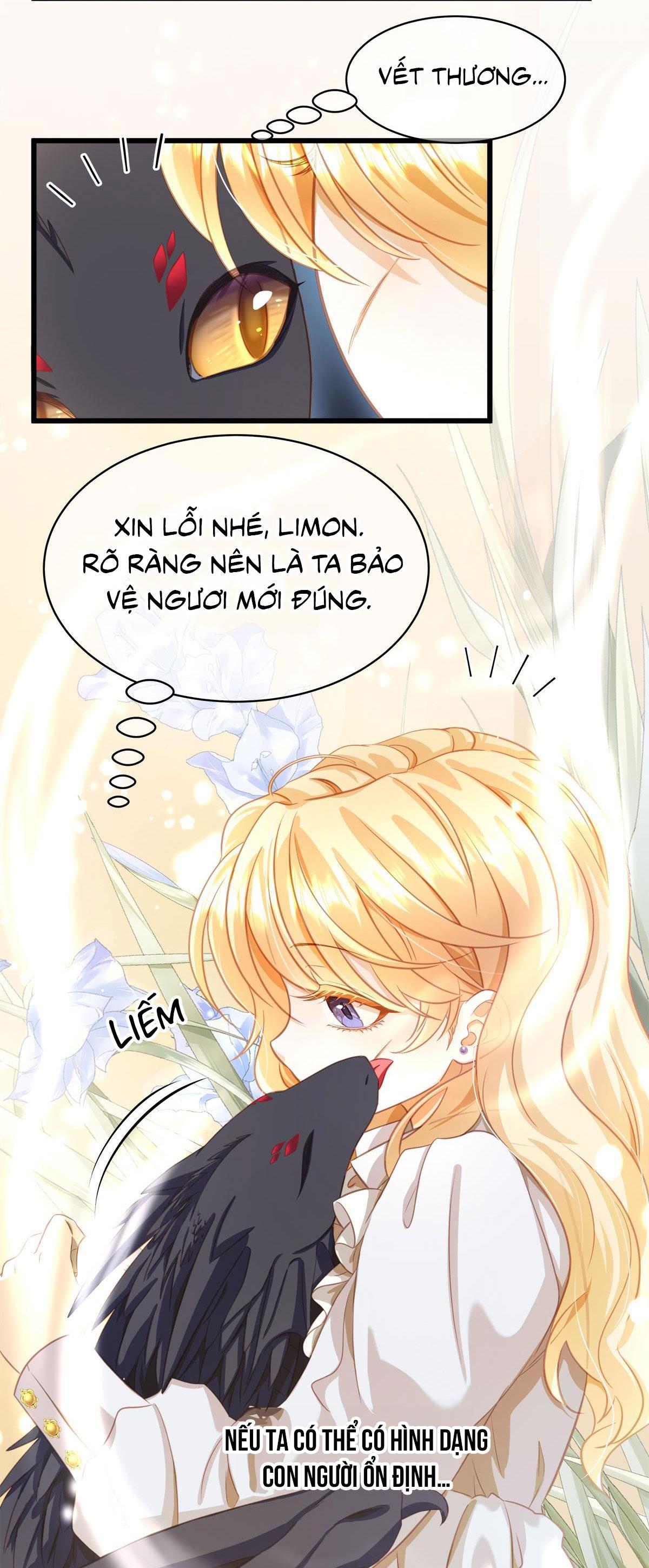 Đọc truyện Tôi trùng sinh thành chú rồng đen của vương tử điện hạ - Chapter 13