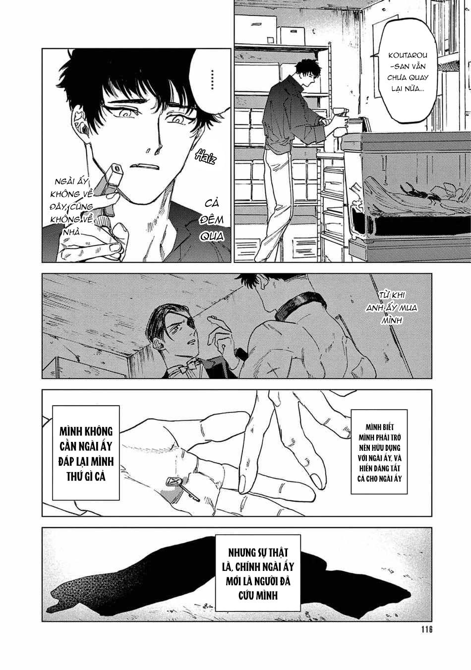 Đọc truyện Đấu giá Hikari TOKYO - Chapter 5