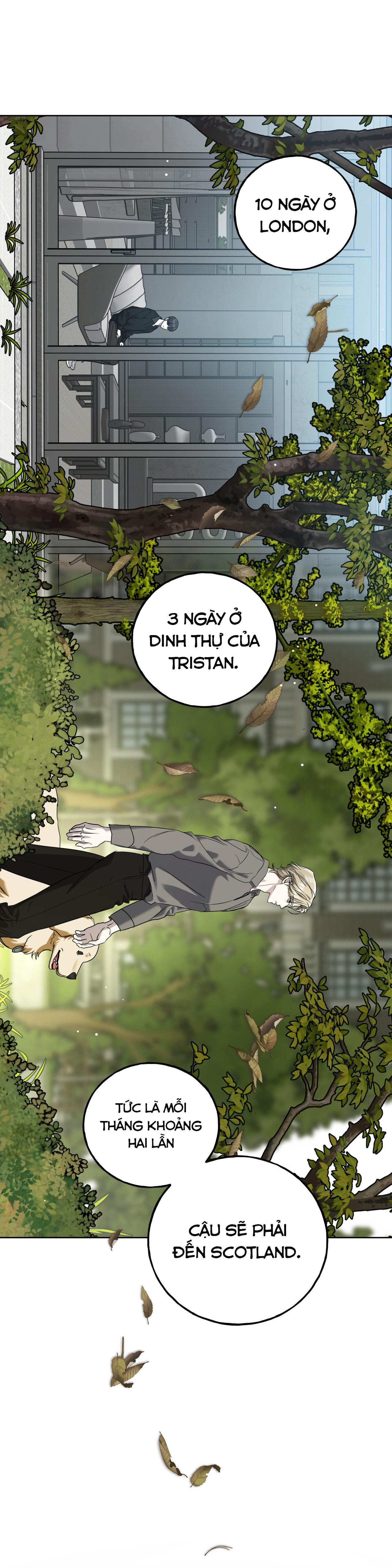 Đọc truyện LÂU ĐÀI EBONY - Chapter 16