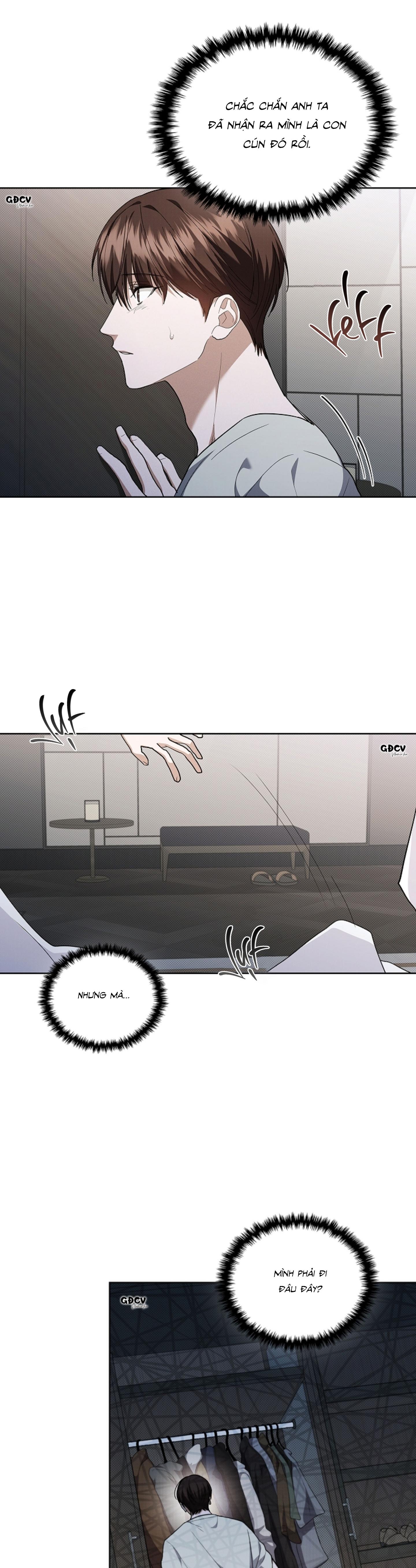 Đọc truyện ĐỪNG CHẠM VÀO CÚN CON CỦA TÔI - Chapter 16