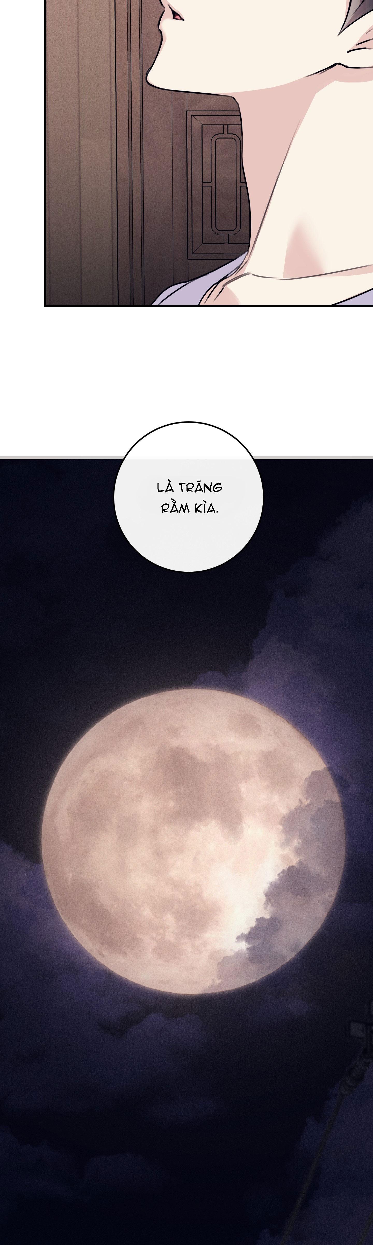 Đọc truyện QUAN HỆ CỘNG SINH GIỮA TRỜI VÀ TRĂNG - Chapter 33