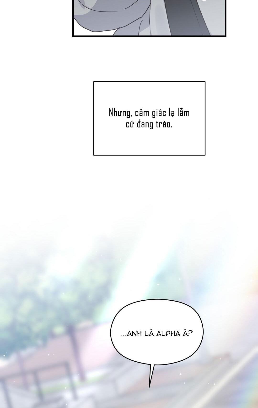 Đọc truyện CHẤN THƯƠNG ALPHA - Chapter 2