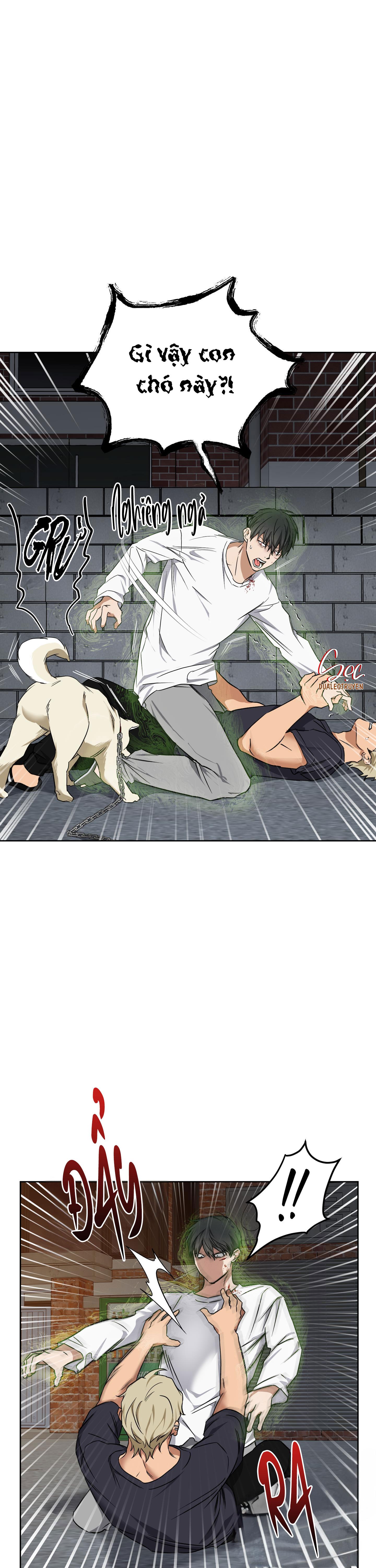 Đọc truyện THẦN HỔ - Chapter 11