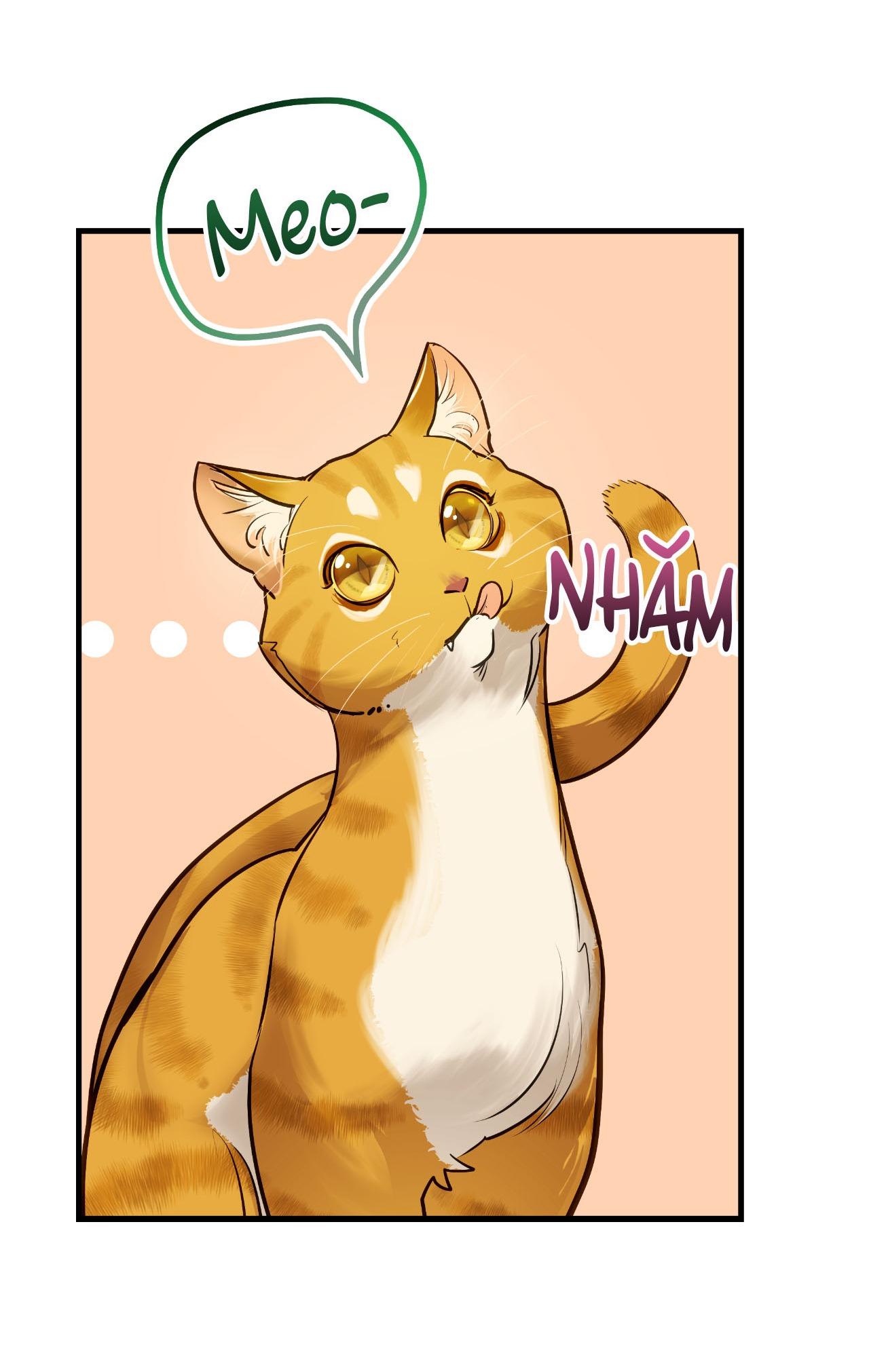 Đọc truyện Người Trong Gương (Drop) - Chapter 13