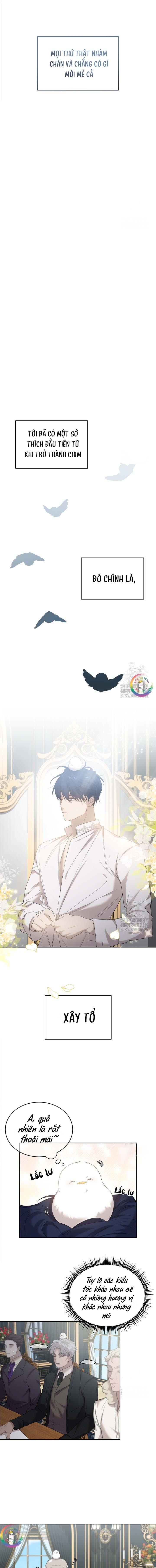 Đọc truyện (END) Này, Đừng Có Nhấn Cái Nút Đó! - Chapter 8