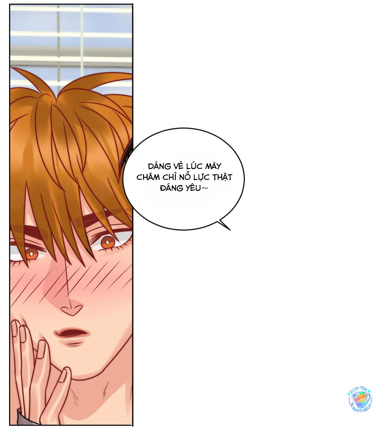 Đọc truyện Ký túc xá nam phòng 303 - Chapter 223