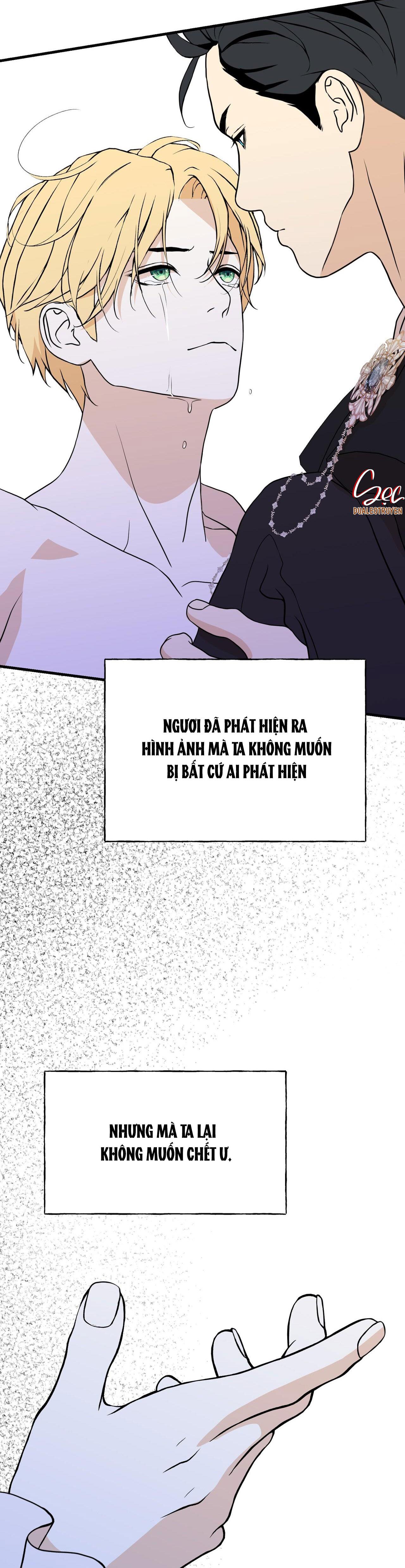 Đọc truyện (ABO) ĐÁM CƯỚI HOÀNG GIA - Chapter 12