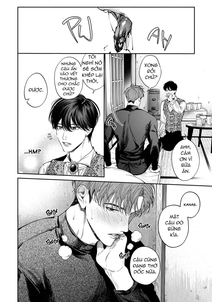 Đọc truyện Thạch lựu lấp lánh trong bãi rác - Chapter 2