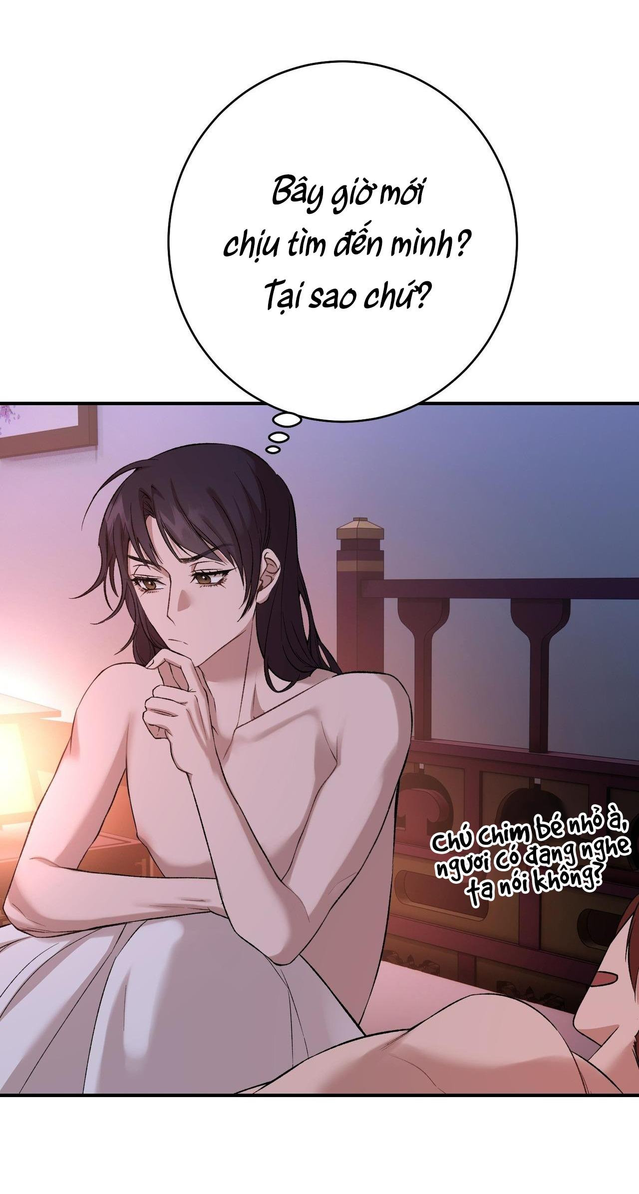 Đọc truyện HỒNG NGỌC GIỮA NỀN TUYẾT TRẮNG - Chapter 7