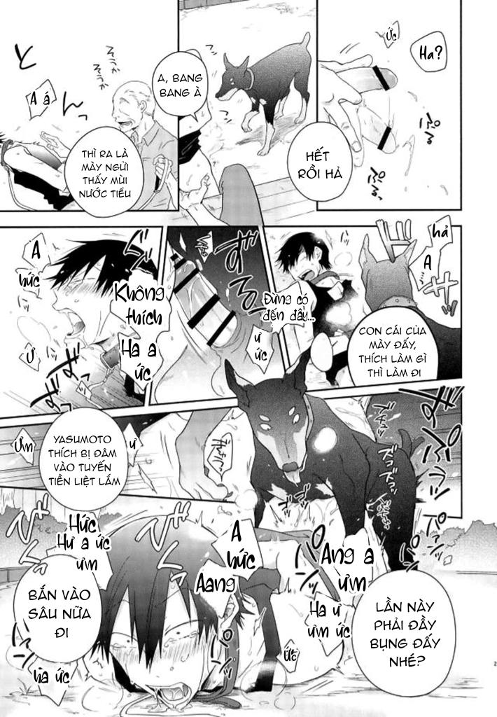 Đọc truyện Nơi husbando của bạn bị đụ ná thở - Chapter 139