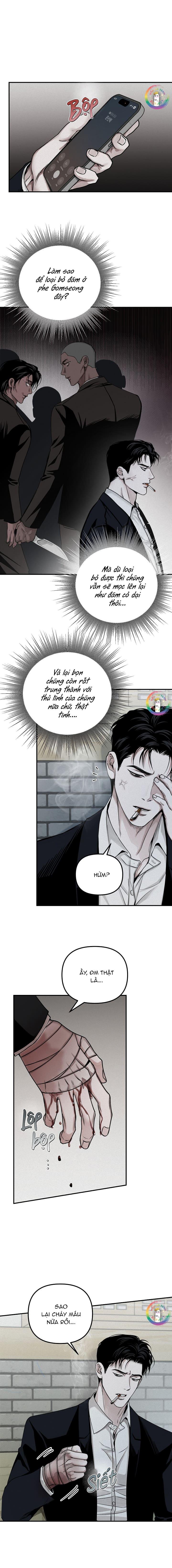 Đọc truyện Hình Chiếu - Chapter 31