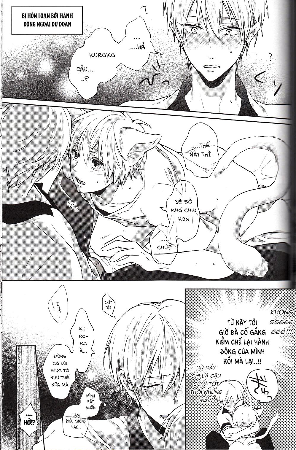 Đọc truyện Doujinshi của Kuroko no basket ball - Chapter 6