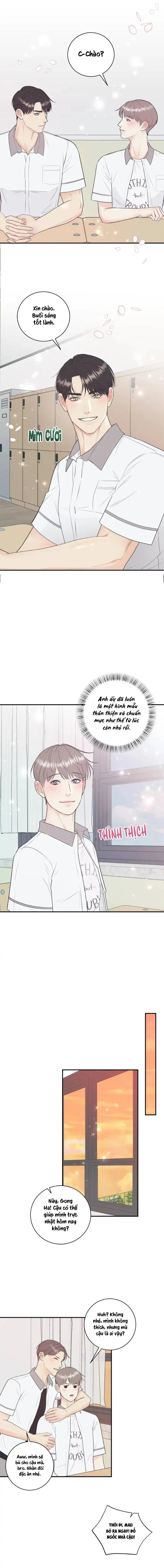 Đọc truyện Hạnh Phúc Trọn Vẹn - Chapter 67