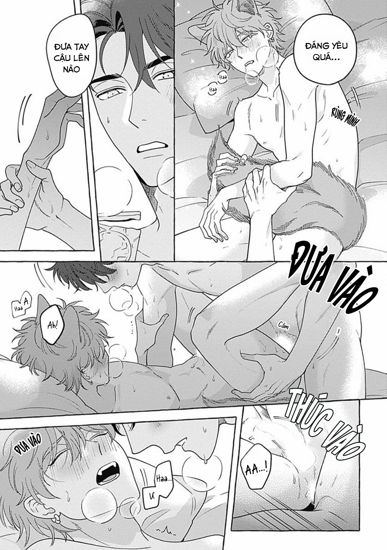 Đọc truyện Aimai na Wolf (END) - Chapter 5.5