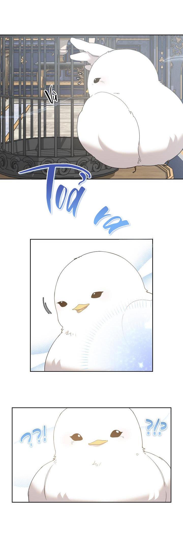 Đọc truyện  Xin Người Đừng Nhấn - Chapter 5