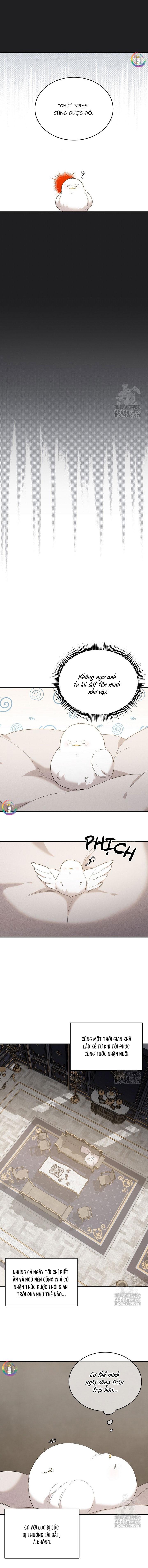 Đọc truyện (END) Này, Đừng Có Nhấn Cái Nút Đó! - Chapter 7