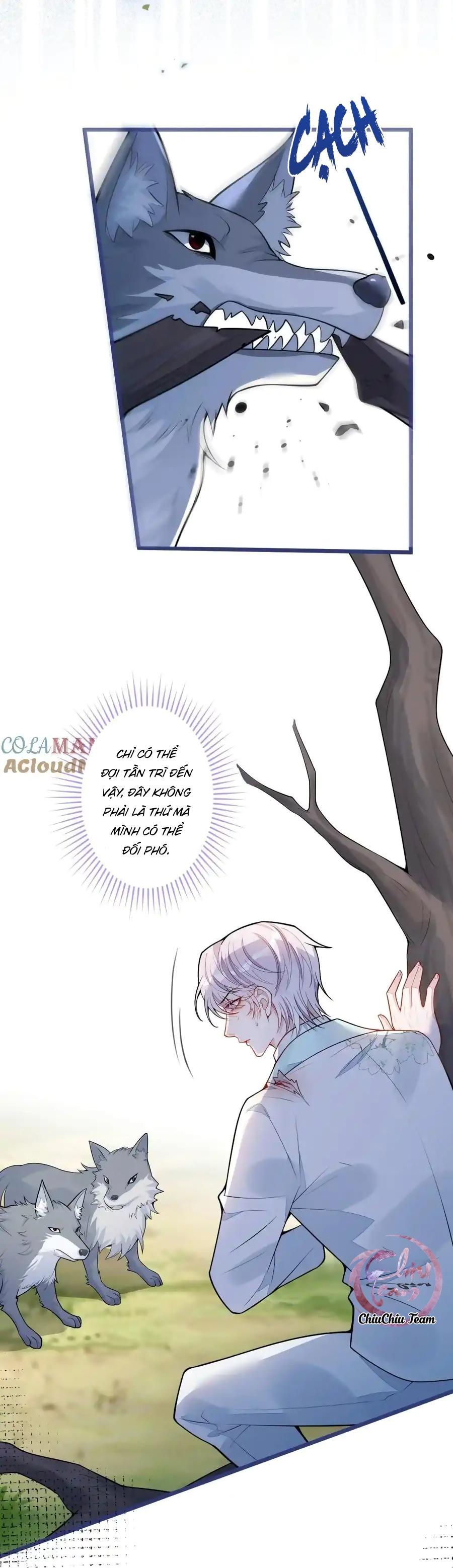 Đọc truyện Sói Báo Ơn (END) - Chapter 54