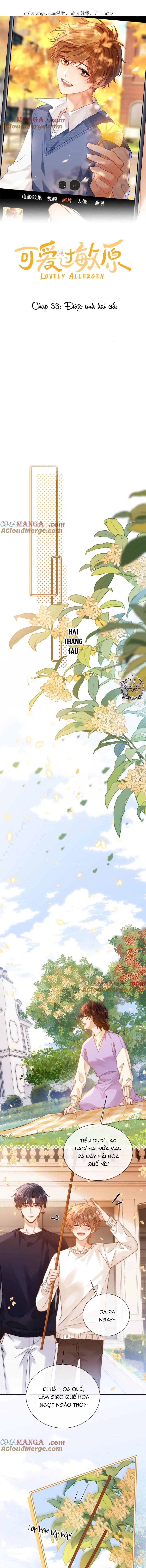 Đọc truyện Chất Dị Ứng Đáng Yêu - Chapter 33