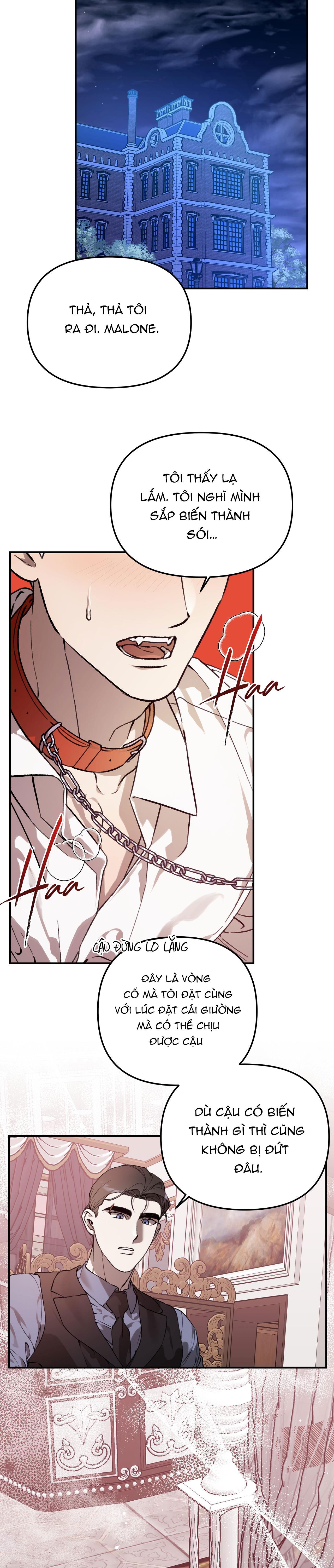 Đọc truyện SÓI TRONG LỒNG - Chapter 23