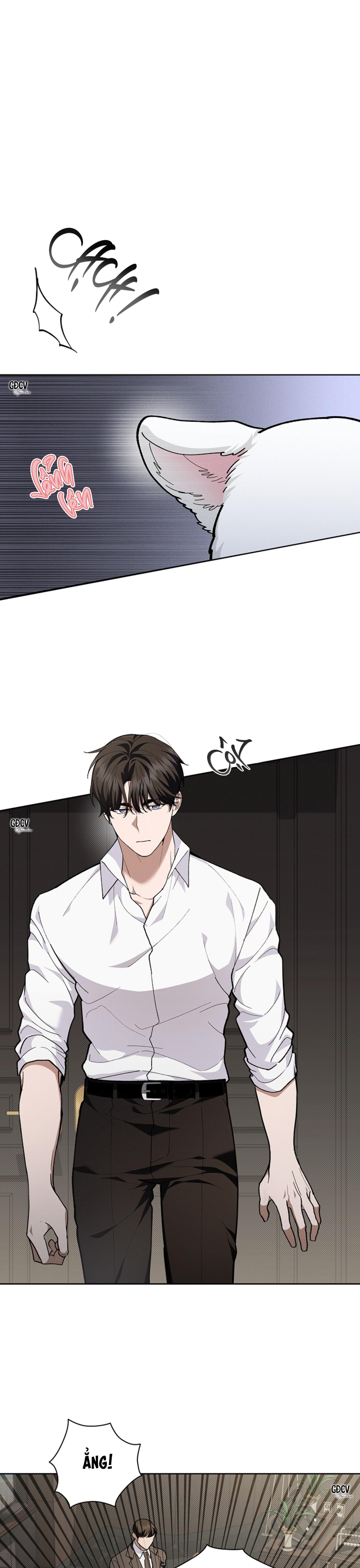 Đọc truyện ĐỪNG CHẠM VÀO CÚN CON CỦA TÔI - Chapter 10