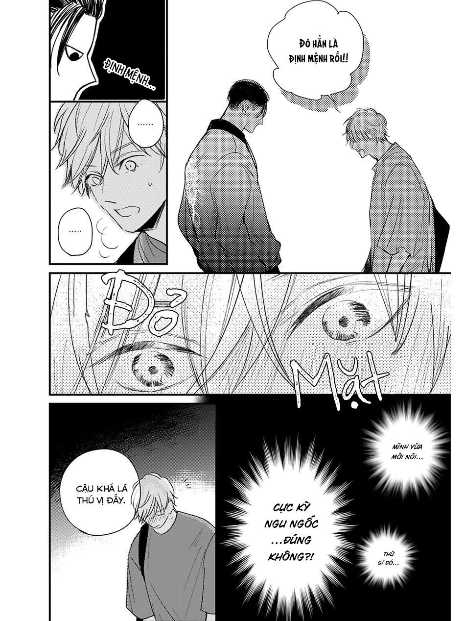 Đọc truyện Hồi Kết Mảnh Tình Vương (END) - Chapter 4