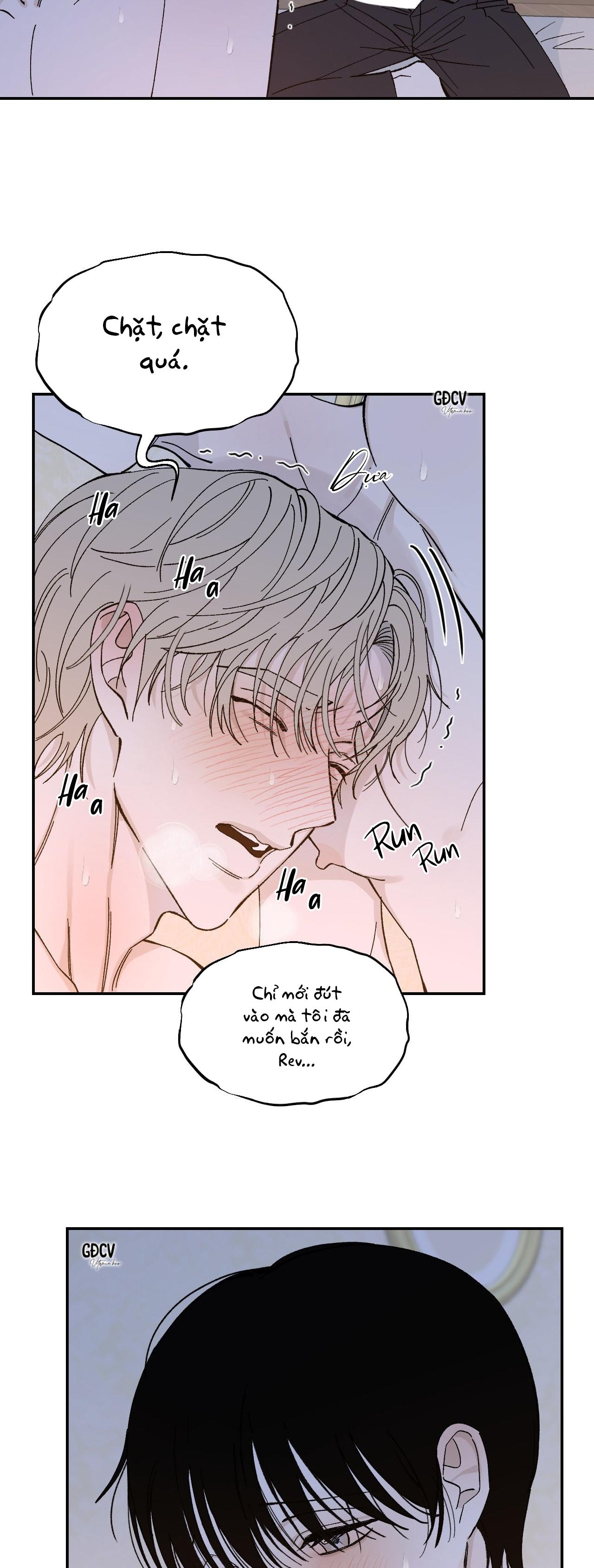 Đọc truyện GIA NHÂN - Chapter 20
