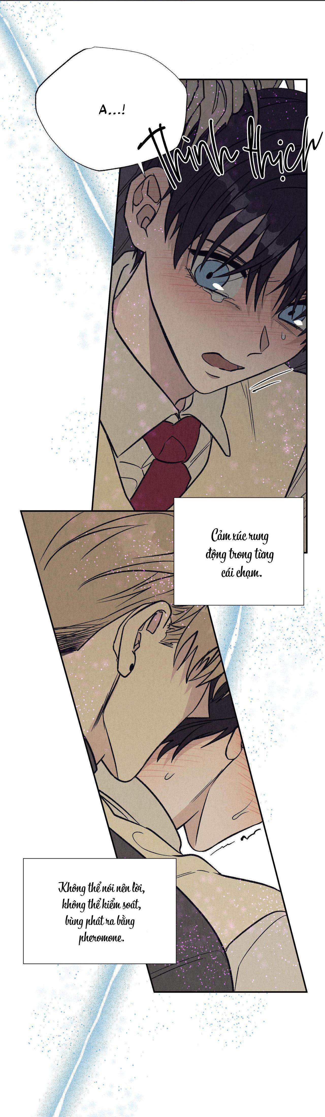 Đọc truyện  Tớ Yêu Cậu - Chapter 9