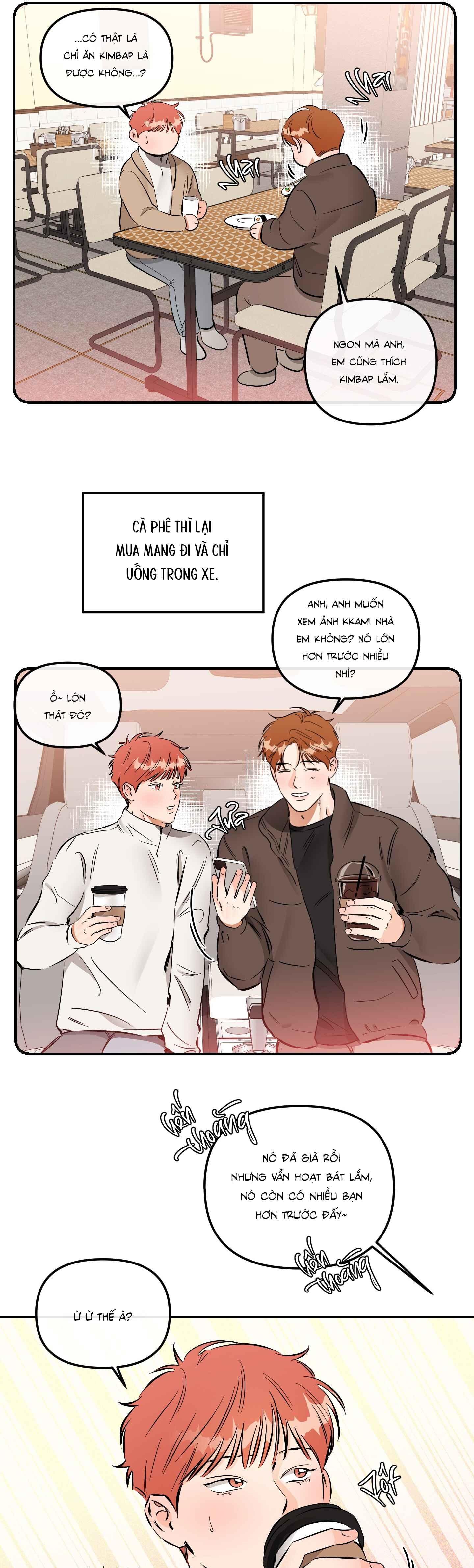 Đọc truyện CÁ MINH THÁI KHÔ QUẮT RỒI! - Chapter 59