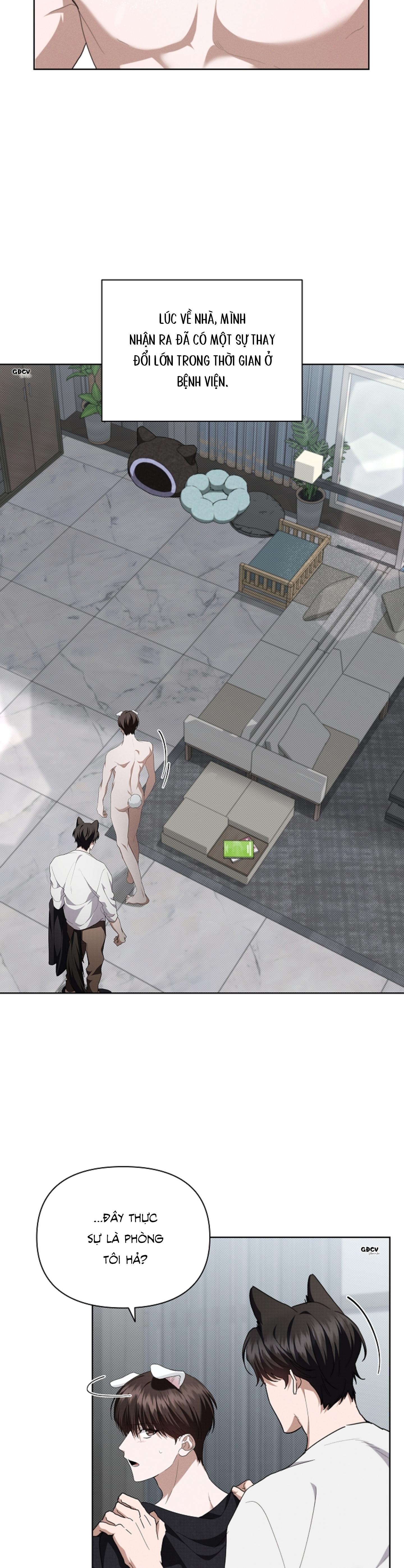 Đọc truyện ĐỪNG CHẠM VÀO CÚN CON CỦA TÔI - Chapter 22