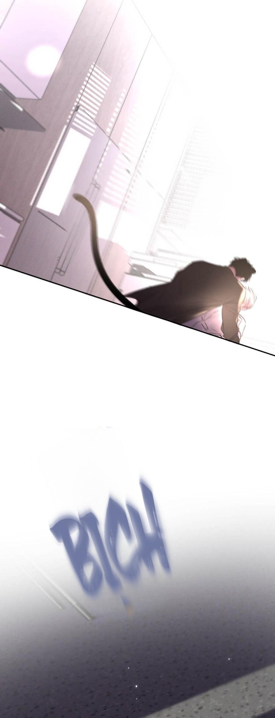 Đọc truyện Tôi Trở Thành Dẫn Đường Đỉnh Cấp Nhờ Trúc Mã - Chapter 14