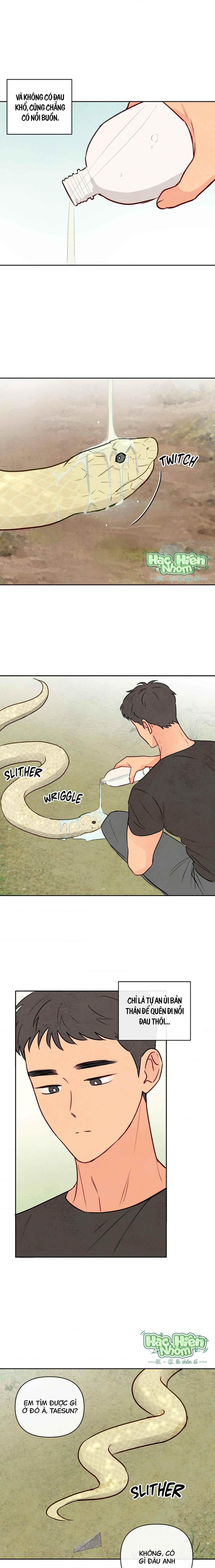 Đọc truyện Sự quyến rũ của Thần Rắn - Chapter 1