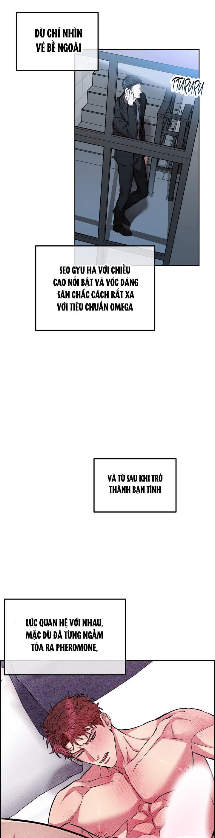 Đọc truyện CHÓ VÀ CHIM - Chapter 37