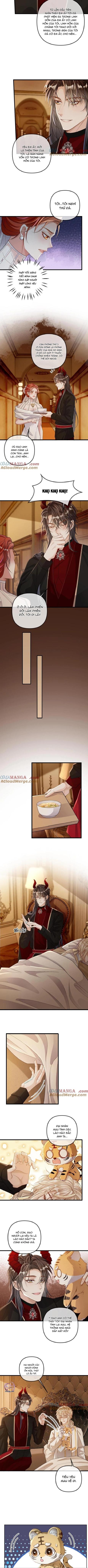 Đọc truyện Khát Vọng Ngọt Ngào - Chapter 315