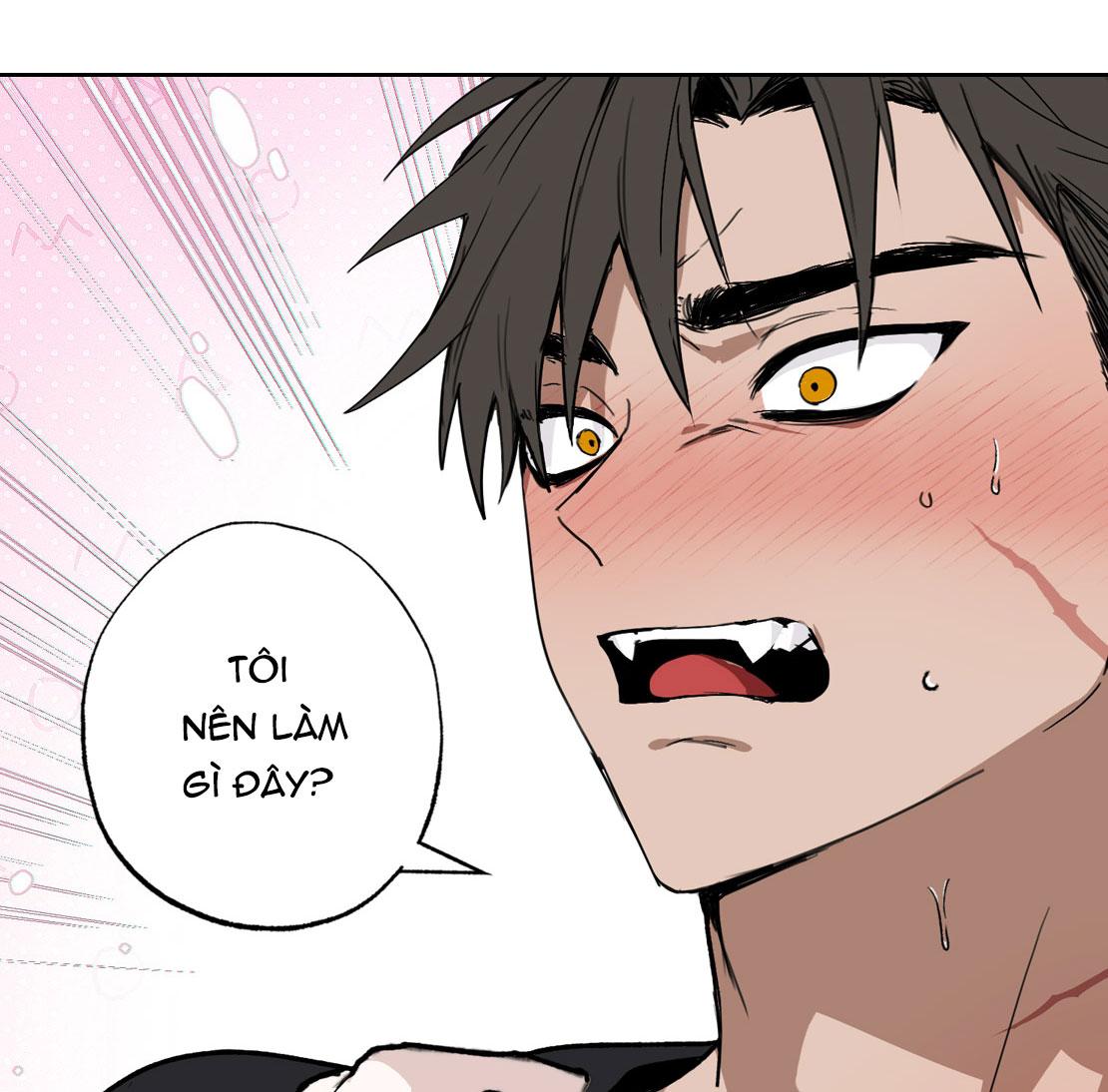 Đọc truyện DŨNG SĨ KHÔNG ĐƯỢC ĐI QUA LỐI ĐÓ - Chapter 0